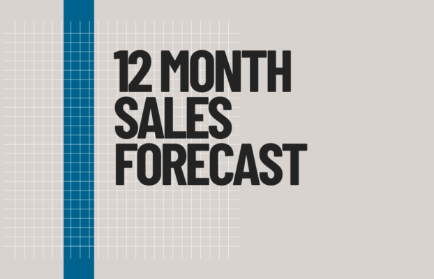 12 Month Sales Forecast