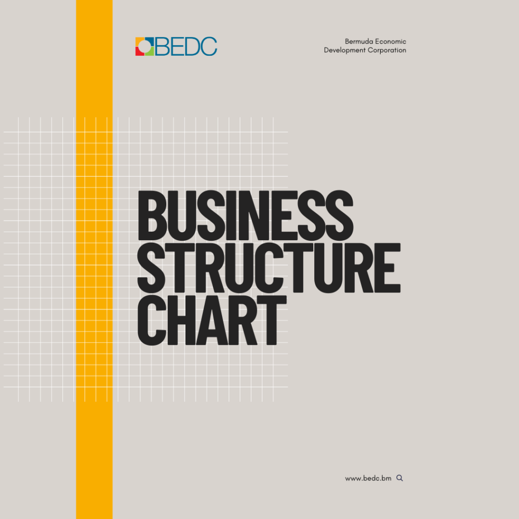 Business Structure Chart - BEDC