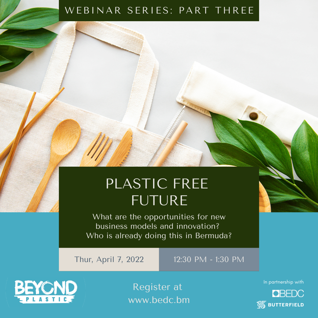 Beyond Plastics Webinar Series (3/4): Plastic Free Future