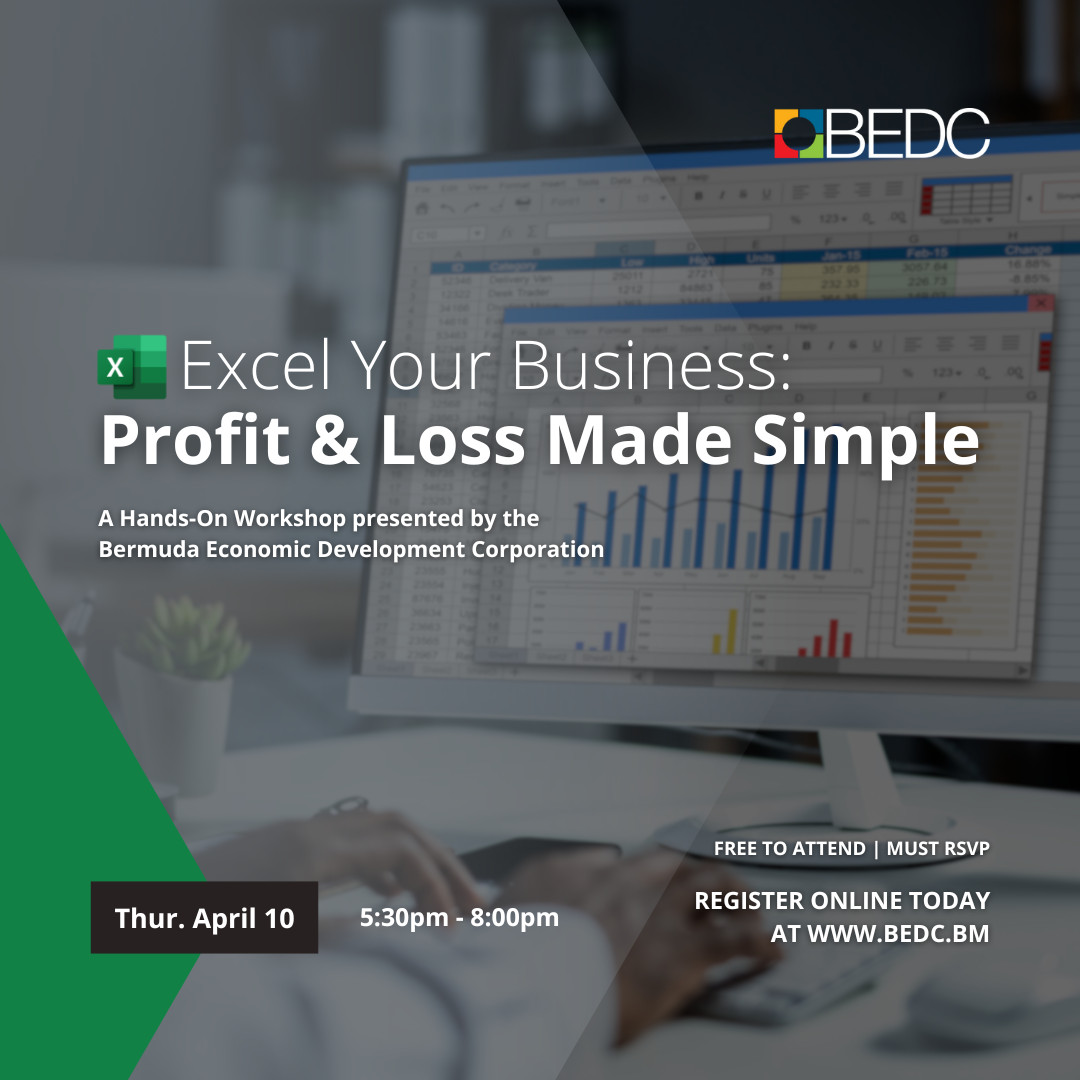 Excel Your Business: Profit & Loss Made Simple