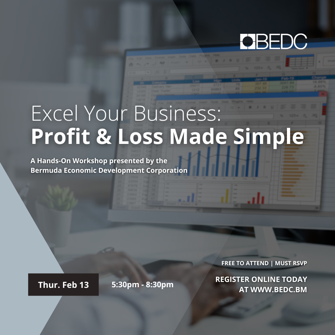 Excel Your Business: Profit & Loss Made Simple