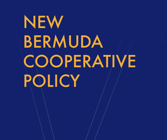Bermuda Cooperative Policy
