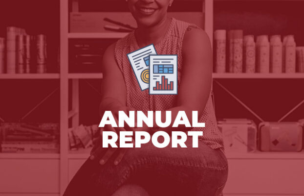 2012-2013 BEDC Annual Report