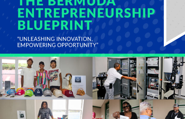 The Bermuda National Entrepreneurship Strategy & Implementation Roadmap (2026)